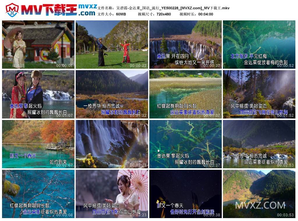 吴碧霞-金达莱_国语_流行_YE500228